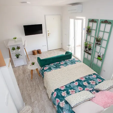 Happy Cat Apartment