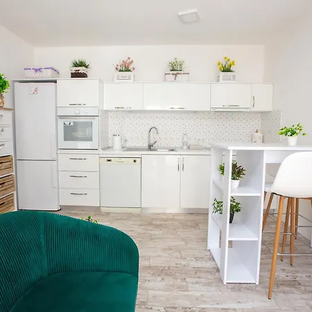 Happy Cat Apartment *